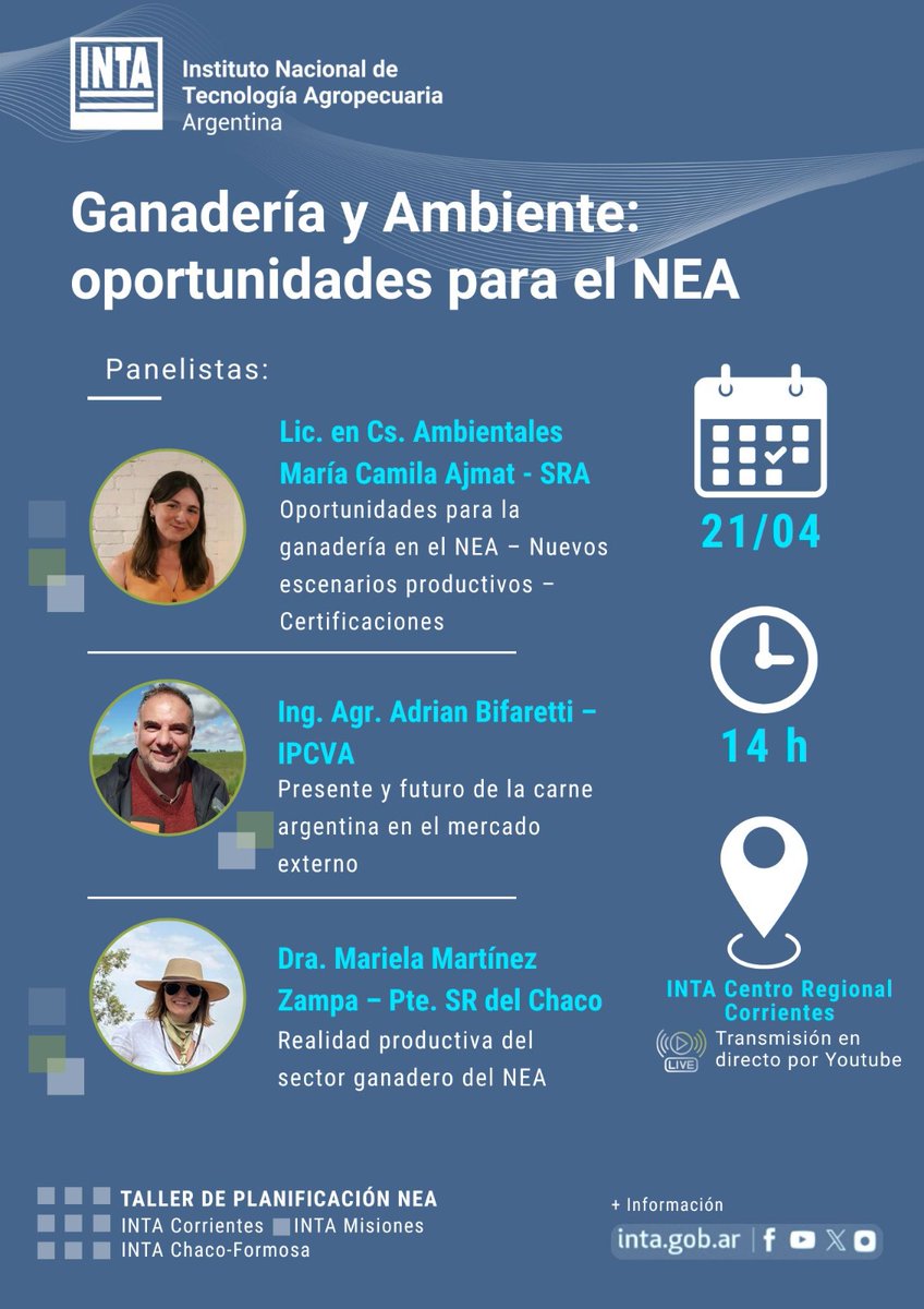 INTA. Planeamiento estratégico. Región Nea.