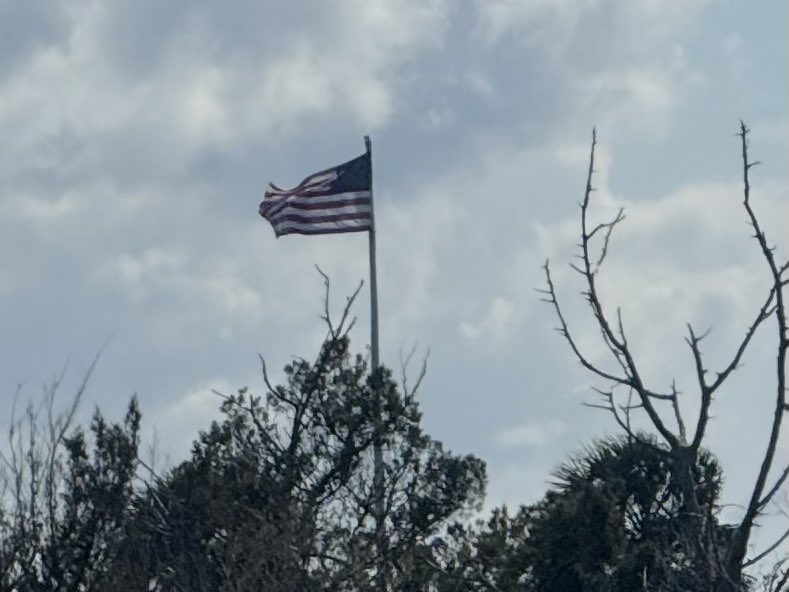 🇺🇸 Dave 🇺🇸 tweet media