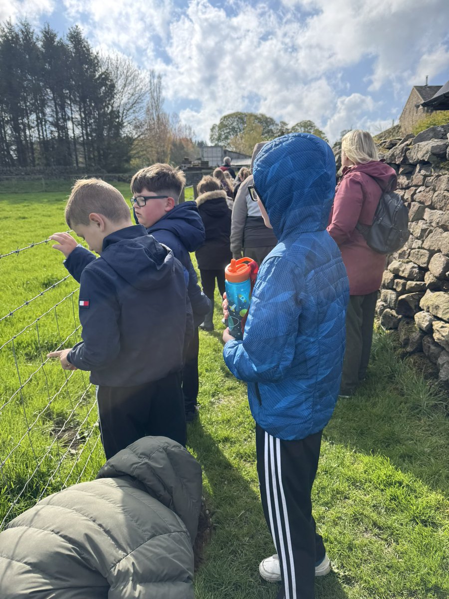 Year 5 Simpson’s Lane tweet media