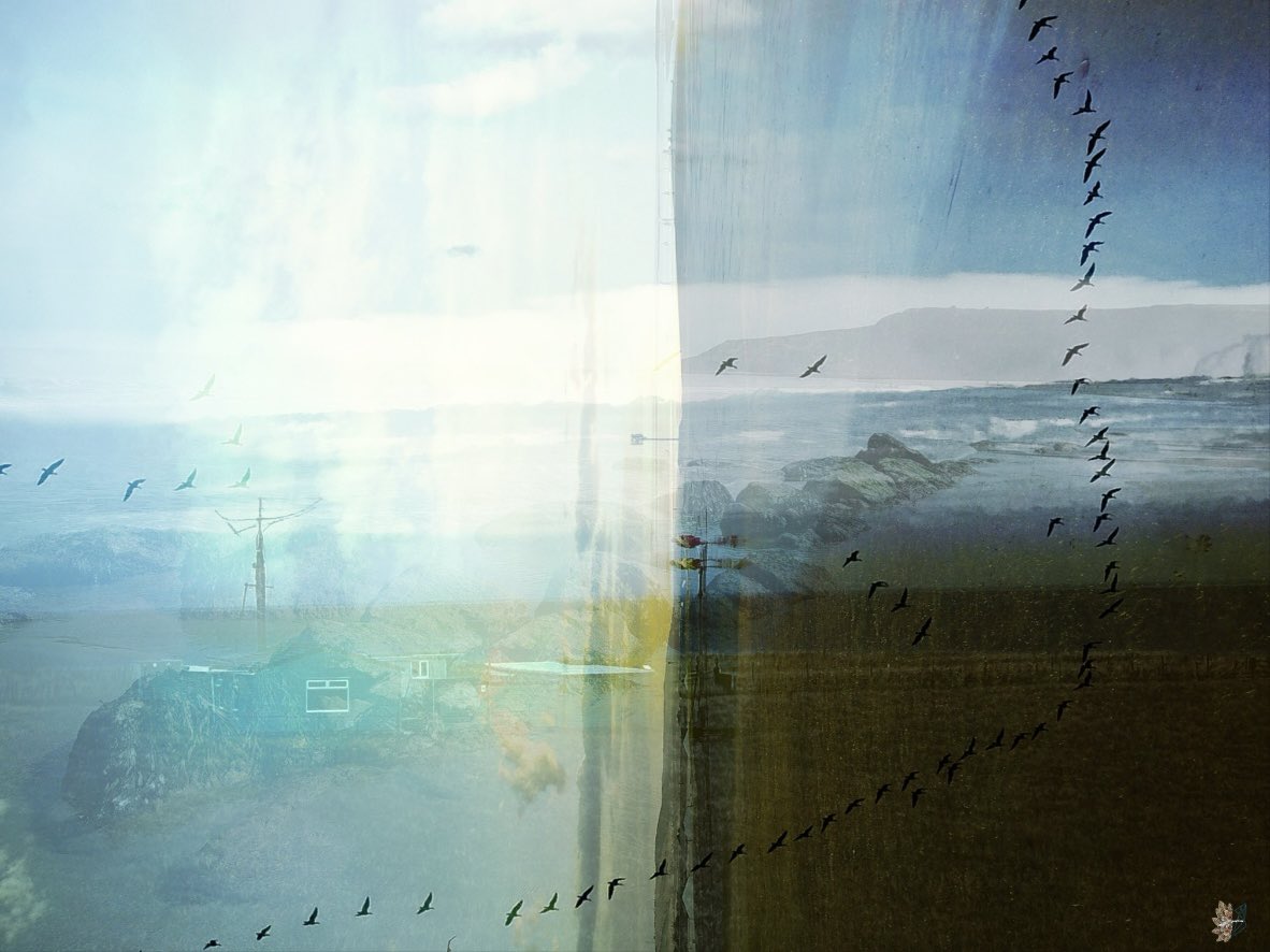 🌿𝔈𝔩𝔣𝔢𝔞𝔯𝔰𝔣𝔬𝔵𝔰𝔬𝔵🌿 tweet media