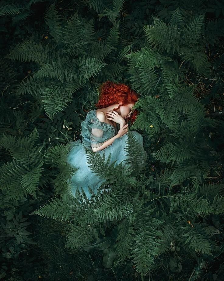 whisperingpoems's tweet image. #vss365 #jade 

a bird trills
a mournful tune of torment

the trees weep
jade tears in silence

the earth worn thin,
bruised by faith forgotten

the wind leans close
whispering absence

and in that breath, half-lost,
nothing returns
💚
#ωнιѕρєяѕ
Pic - Pinterest