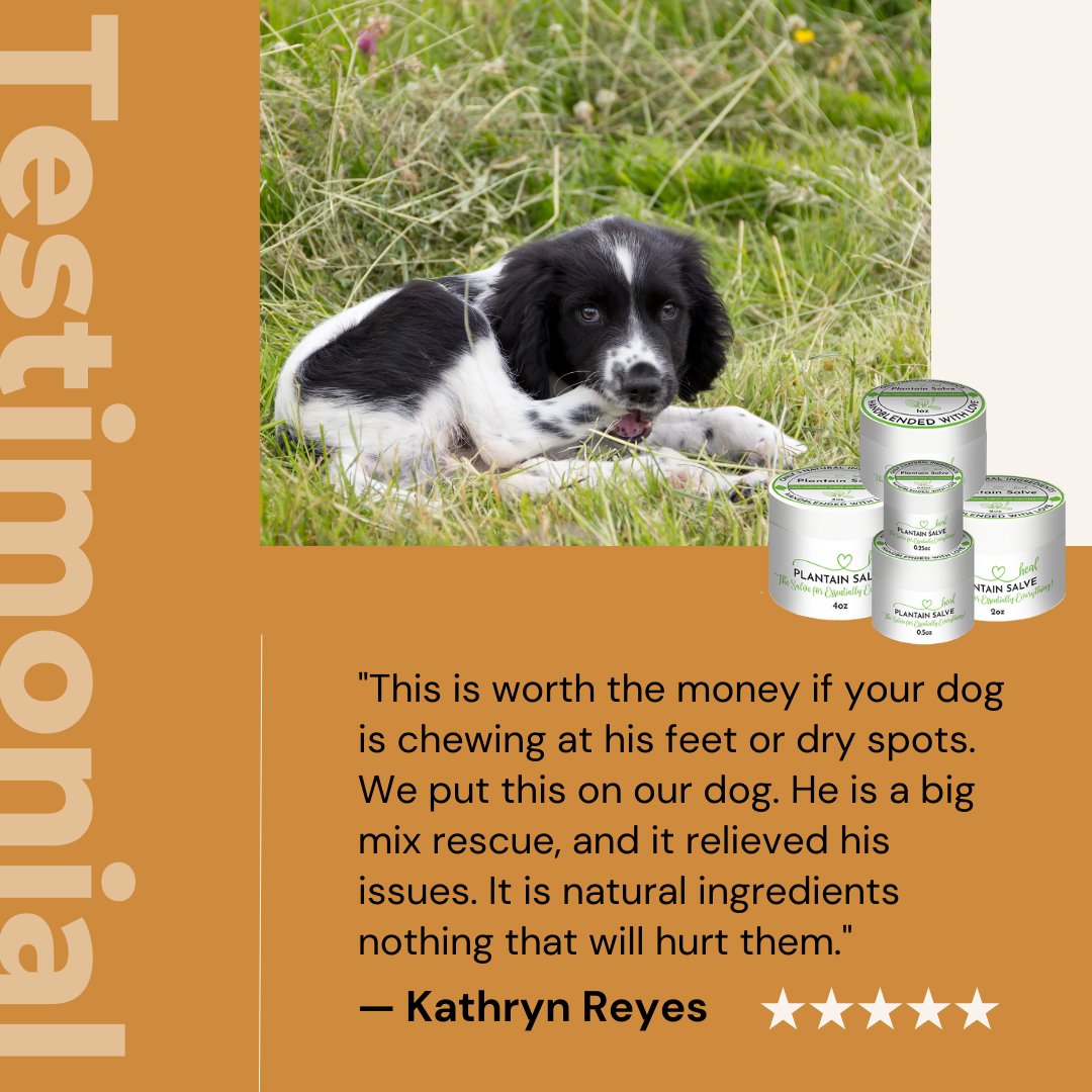 MyHealShop's tweet image. Gentle enough to share with the whole household including four-legged family members. Thoughtfully made with simple ingredients.
Shop now: MyHealShop.com #myhealshop #plantainsalve #petfriendly