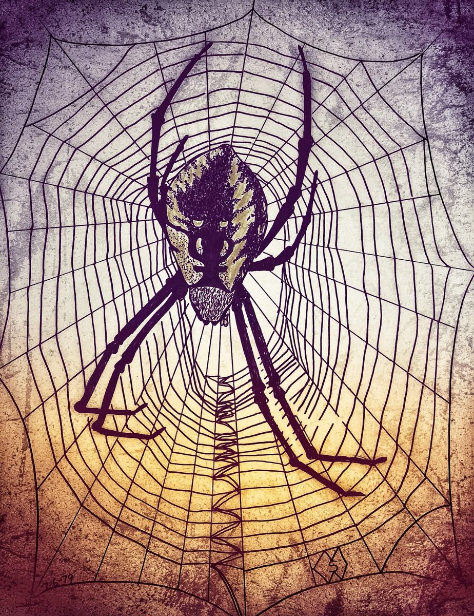 MattStarrFineA1's tweet image. This is my drawing of a large garden spider, spinning a web to catch some food. redbubble.com/shop/ap/100221… 

#mattstarrfineart #spider #spiders #gardenspider #spiderweb