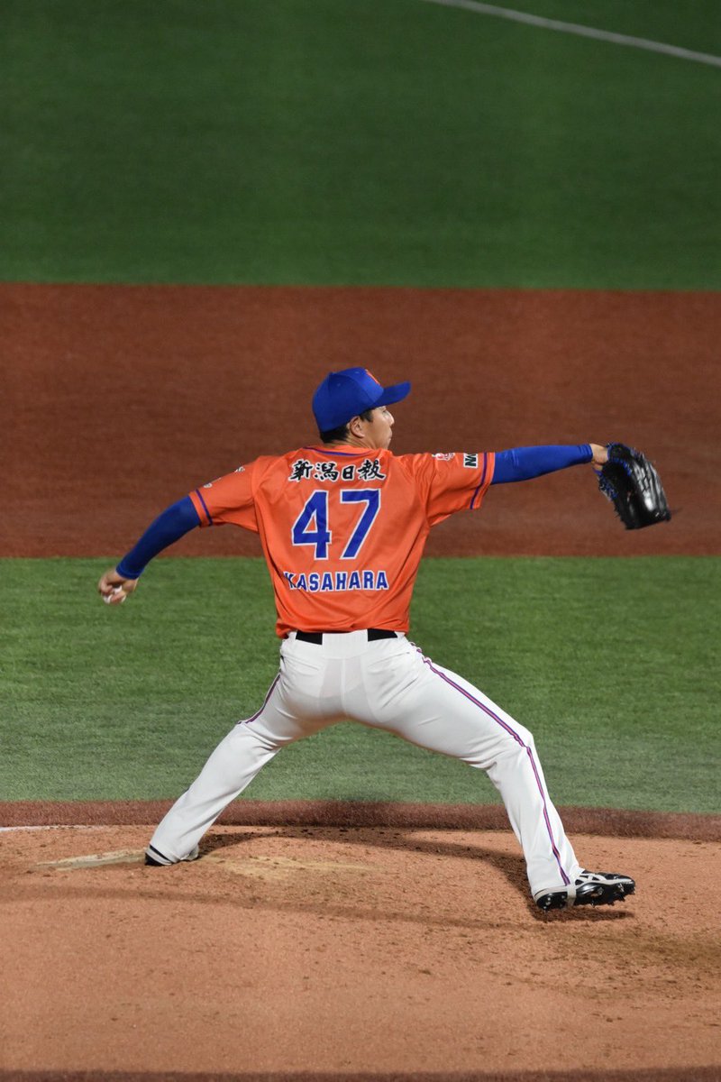 オイシックス新潟アルビレックスＢＣ【公式】 tweet media