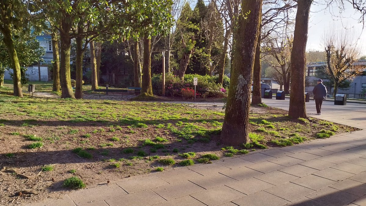 Xesús Domínguez tweet media