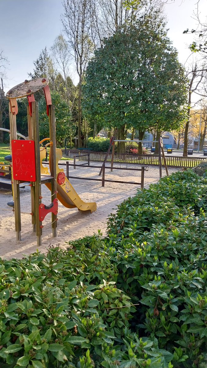 Xesús Domínguez tweet media