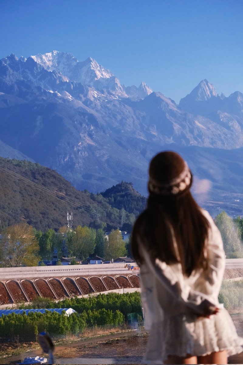 丽江洛洛 tweet media