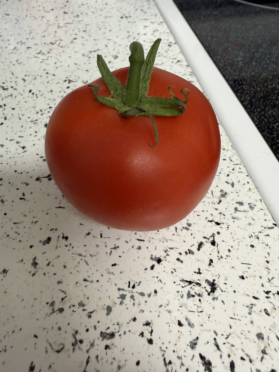 LoisAceLane tweet media