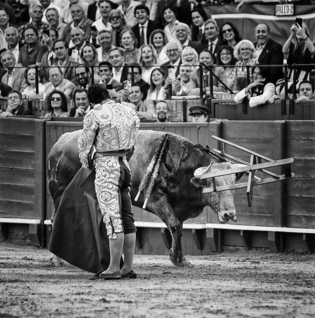 Alguno se piensa que porque él lo hace así de fácil de verdad lo es. Detrás de estas exhibiciones que nos está regalando hay mucho valor y mucho riesgo.

📷 <a href="/MauriceBerho/">MauriceBerho</a> para diariodetauromaquia.com 
<a href="/CuadernosTM/">Cuadernos TM</a>