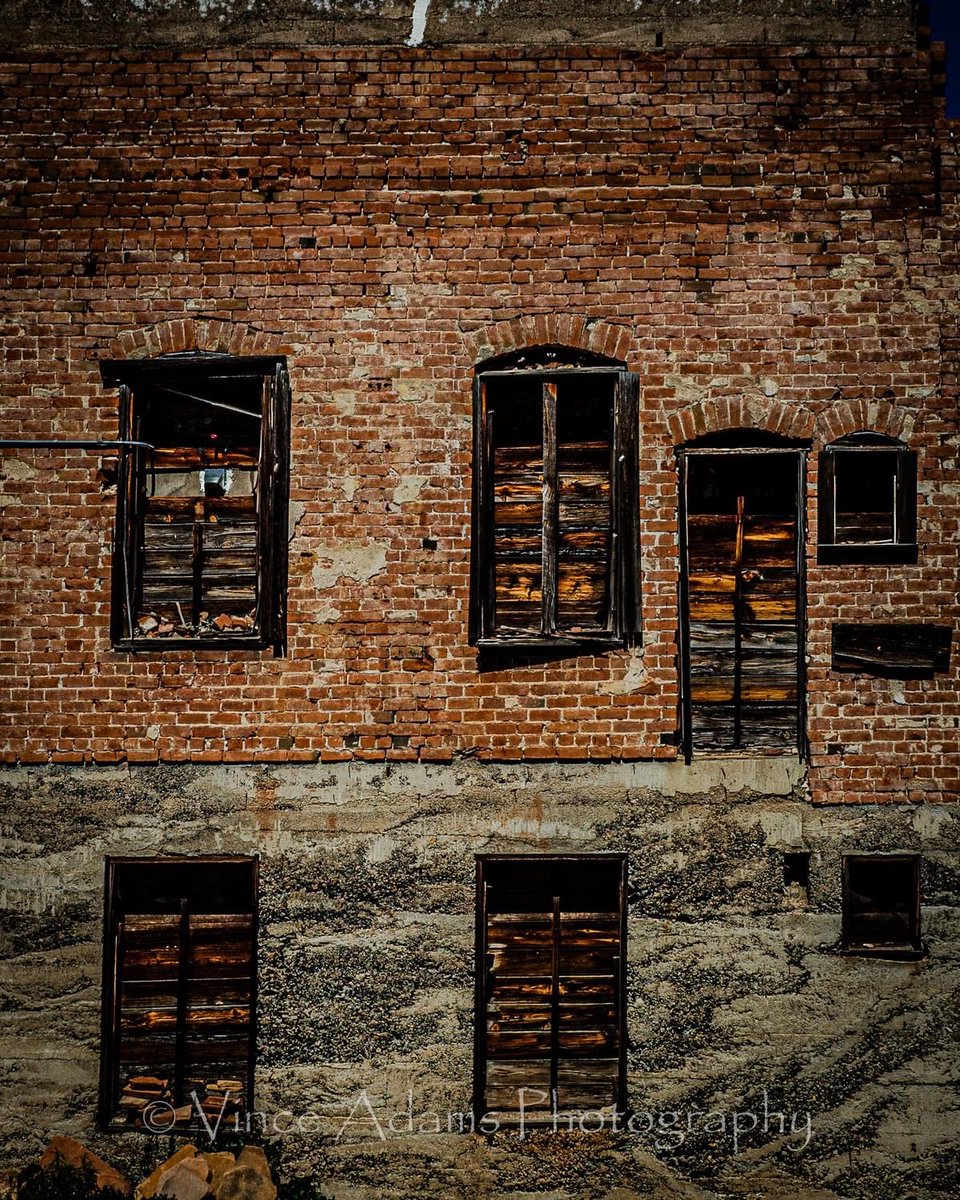 Vince Adams tweet media