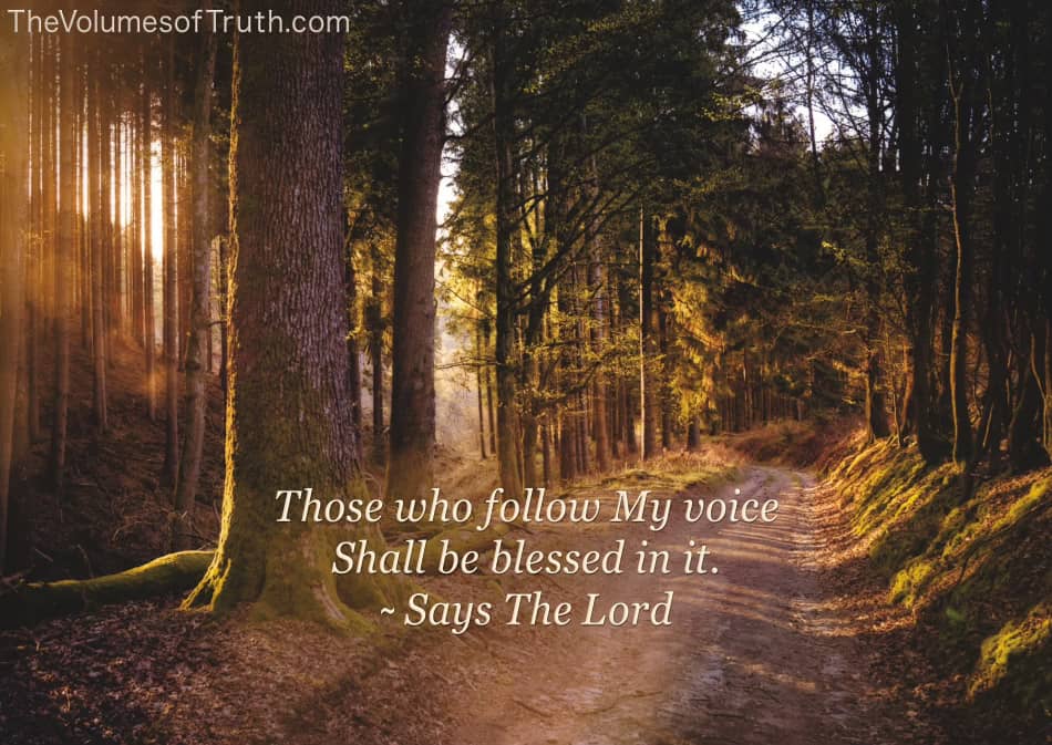 YahuShuaHamashi's tweet image. “Those who follow My voice 
Shall be blessed in it.”

~ Says The Lord 

📖 Source: thevolumesoftruth.com/The_Blessed:_M…
 
The Blessed: More Declarations of Blessedness From The Lord, Our God and Savior - The Volumes of Truth 
thevolumesoftruth.com 
 
#wordstoliveby #wordsofwisdom