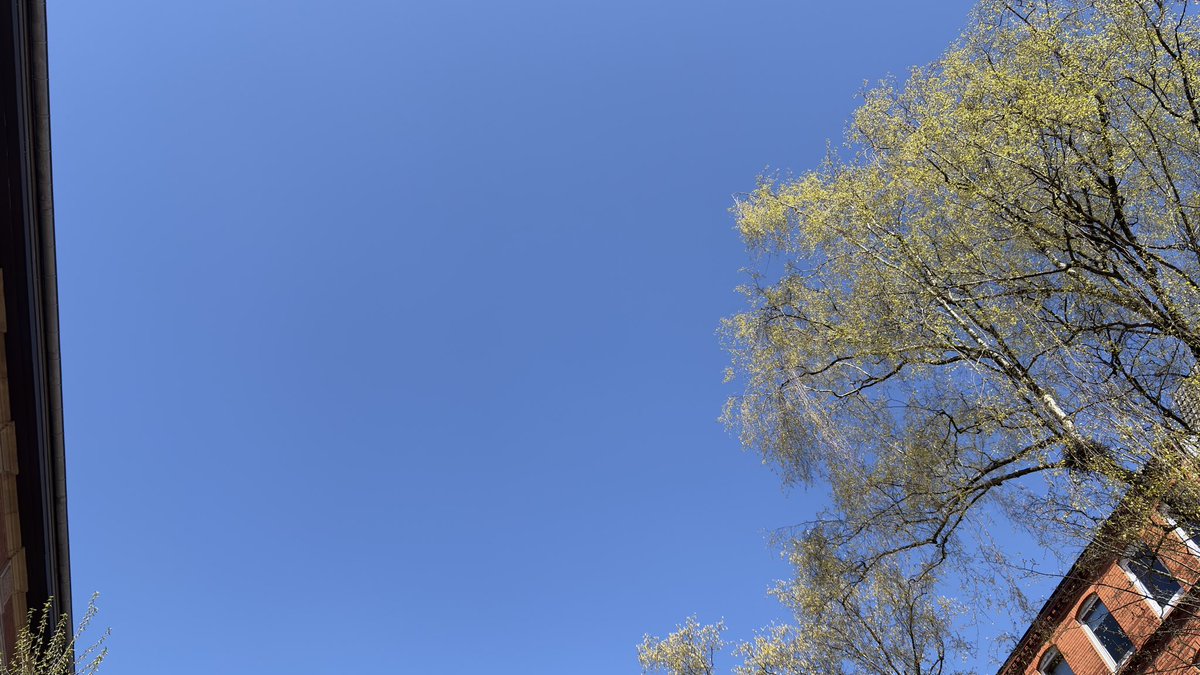 „Karma isn’t a Bitch it’s a Mirror“ ™️ tweet media