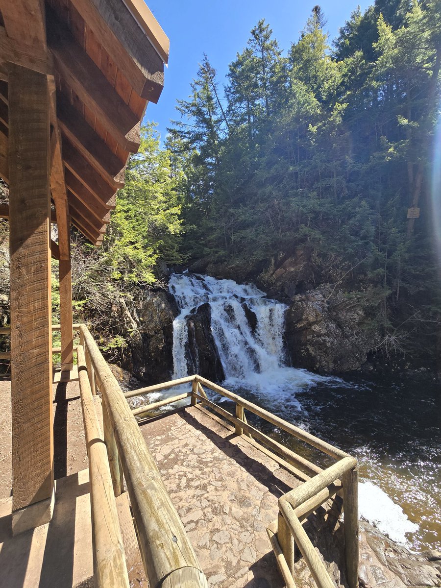 Taíno🇵🇷🇺🇸 tweet media