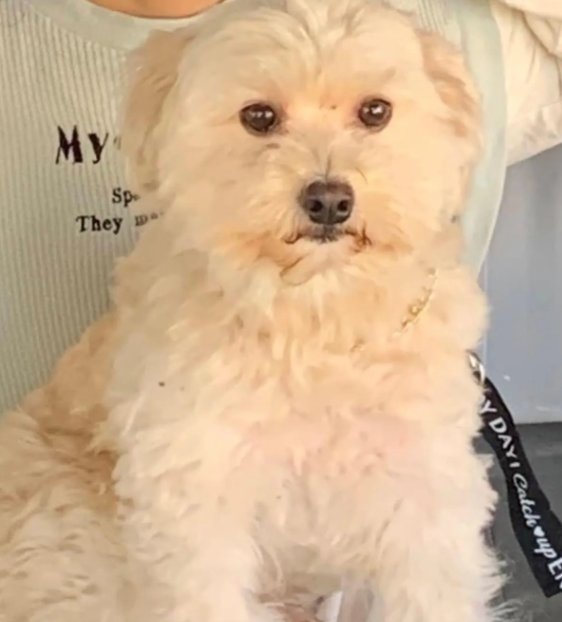 くるみmama tweet media