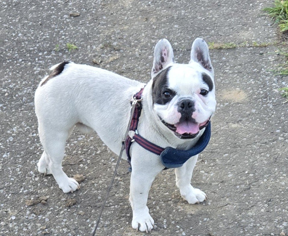 🌻ひそたん🌻 tweet media