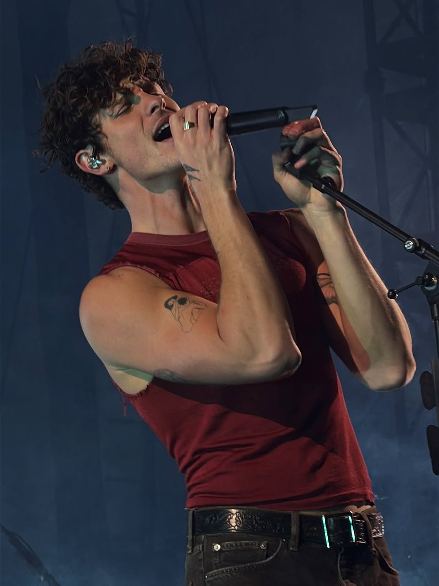 Shawn Mendes hourly tweet media