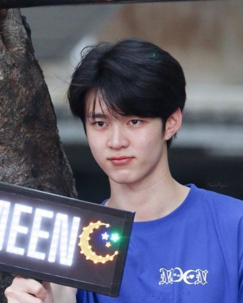 nott 🥝 tweet media