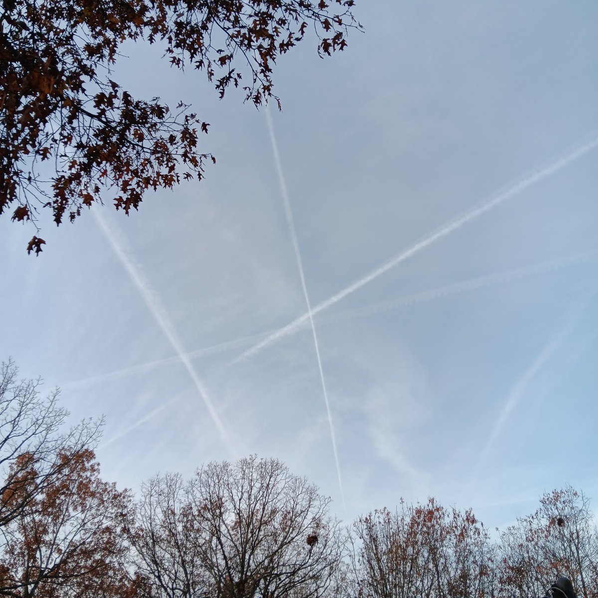 SimulationSirio tweet media