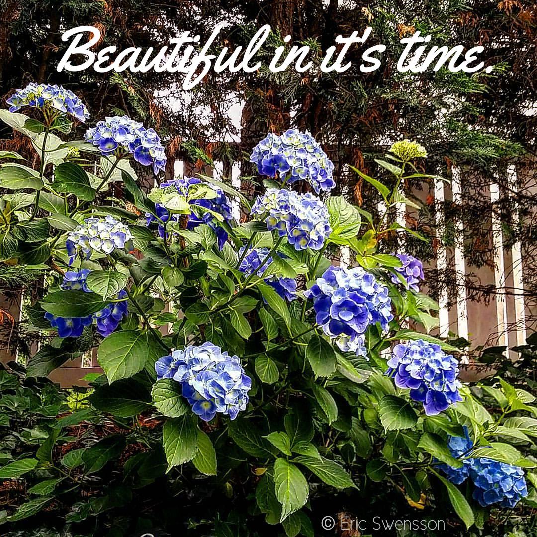 Eric Swensson tweet media