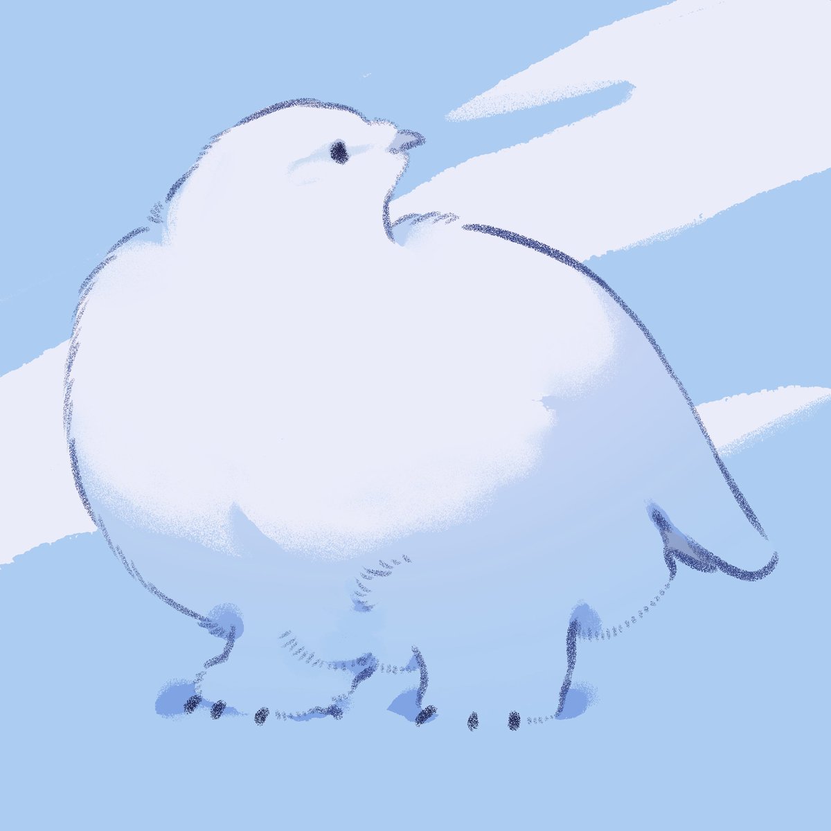 鳥モフ tweet media