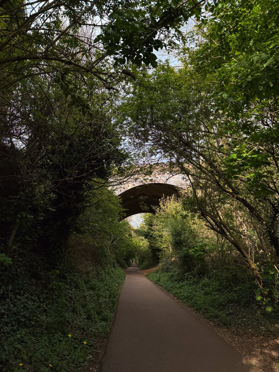 Angel🦋 tweet media