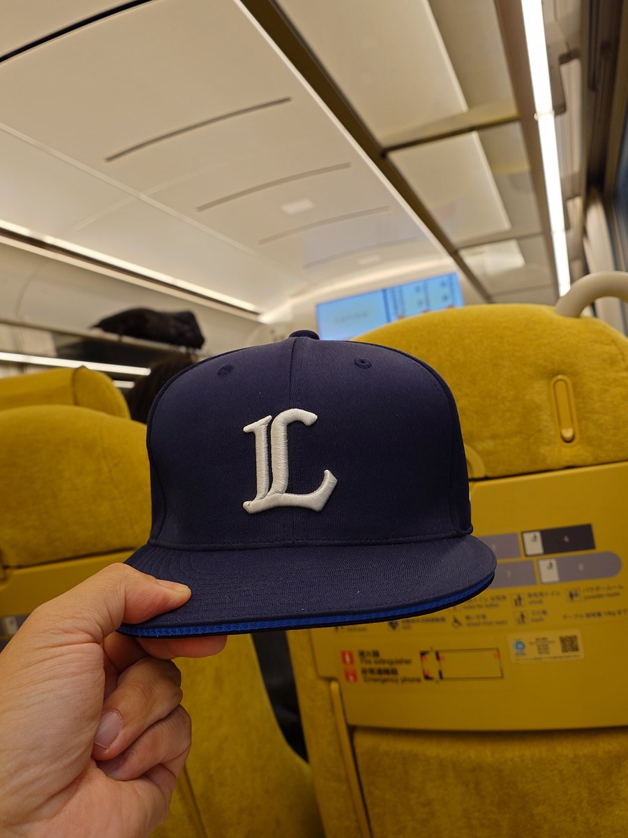 taikimatsumoto's tweet photo. 帰りまーす(*´∀`)🚃⚾️✨
#Laview #西武鉄道 #seibulions https://t.co/4ezLOKZReX