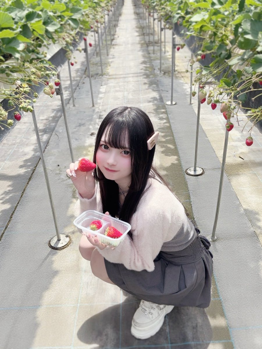 azunya_nnn's tweet photo. いちご狩り🍓𝄞⸝⸝꙳ https://t.co/nGNihv6XU5