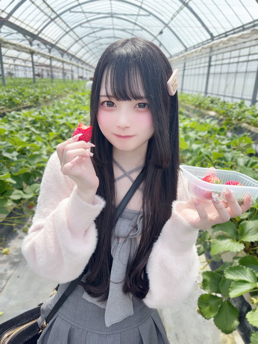 azunya_nnn's tweet photo. いちご狩り🍓𝄞⸝⸝꙳ https://t.co/nGNihv6XU5