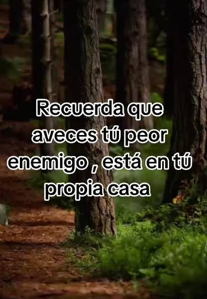 La discordia dentro de tu casa es causada por un enemigo interno