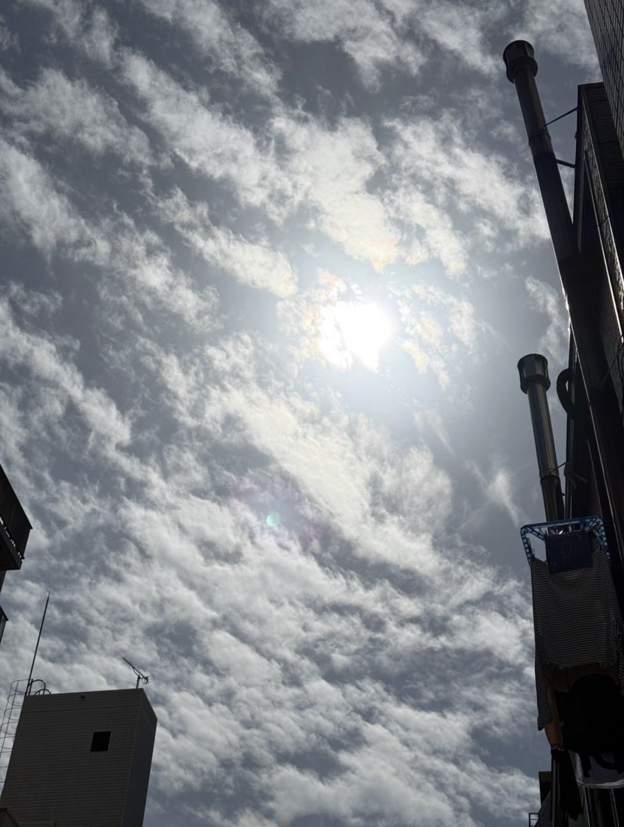 𝗇𝖺𝖼𝗁𝗂 tweet media