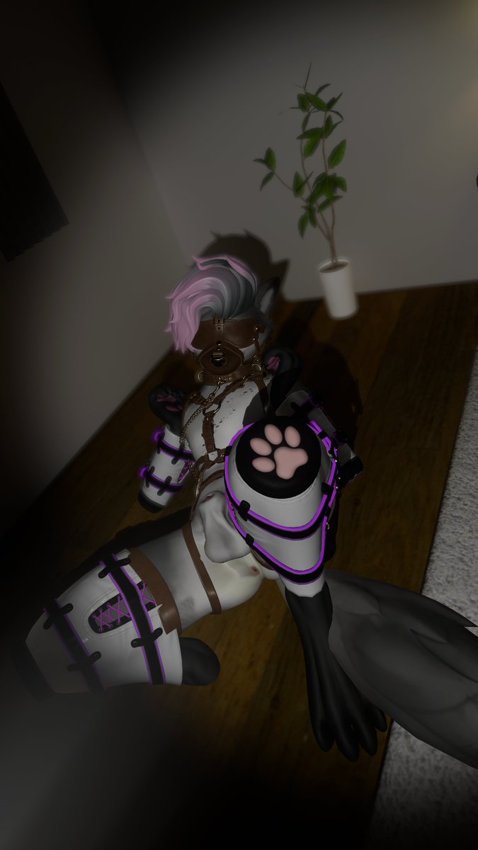 JasperCollieAD's tweet photo. My boyfriend @spicycatfox
 had me a bit tied up last night~ https://t.co/99T8A9WBdJ