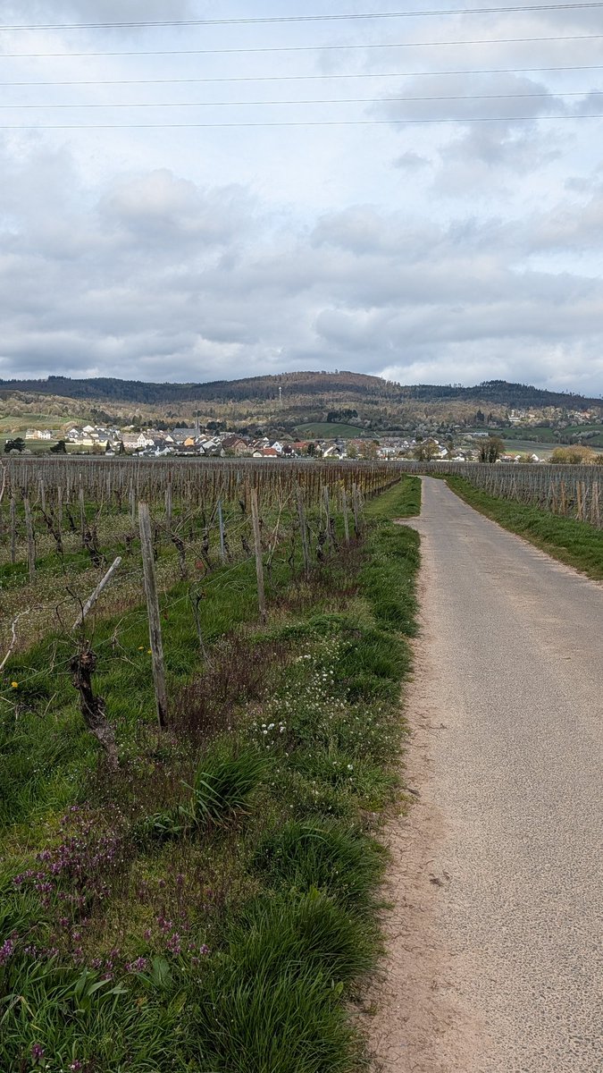 R ✝️ tweet media