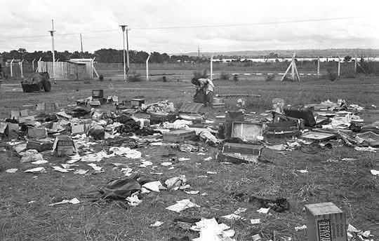 Indiscov tweet media