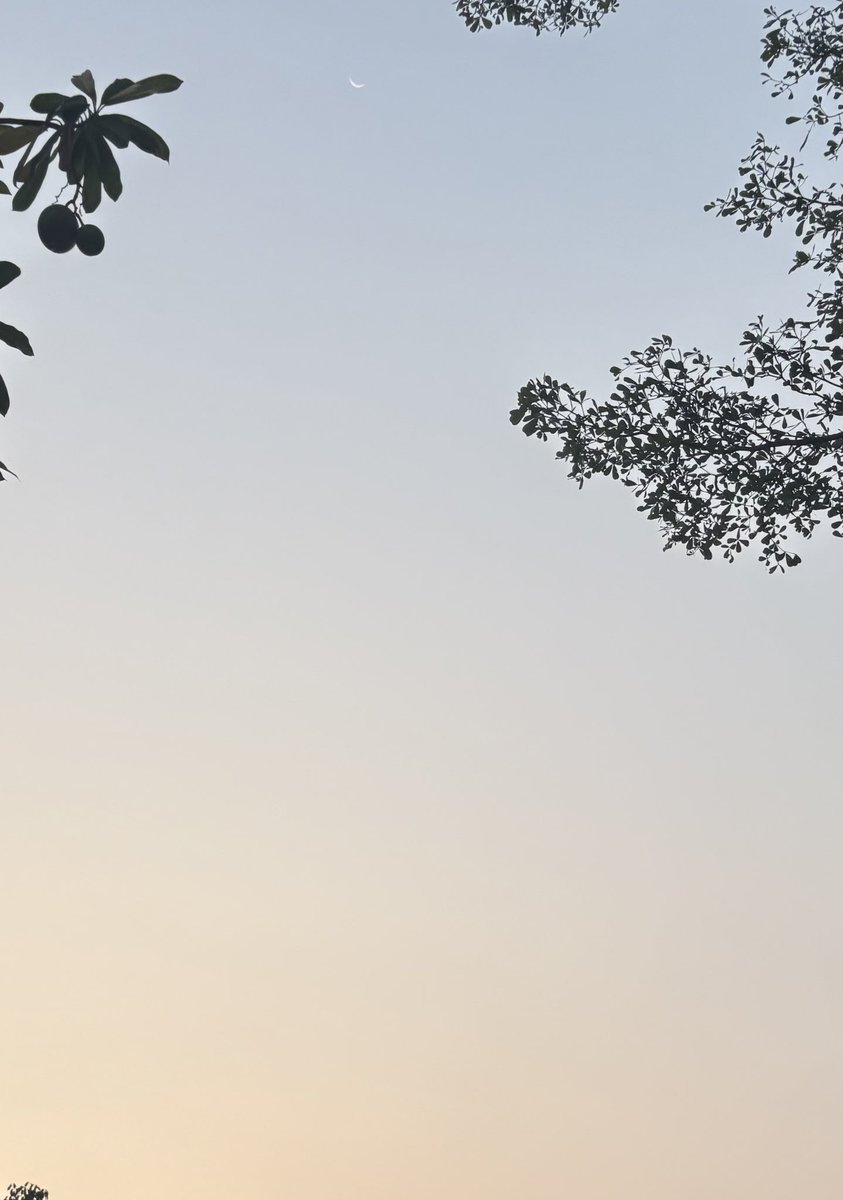 Poru🍓《 ARP 》 tweet media