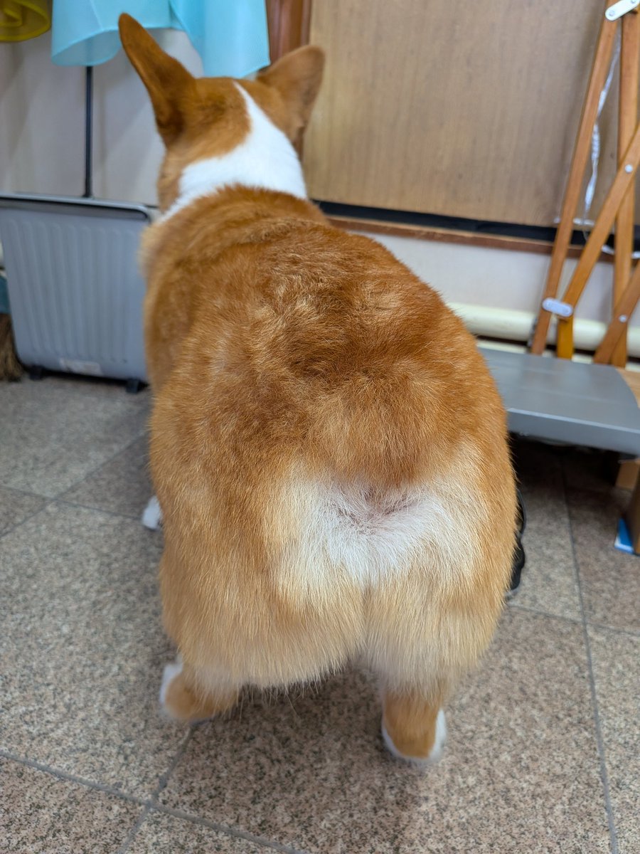 宙波(ひろは) tweet media