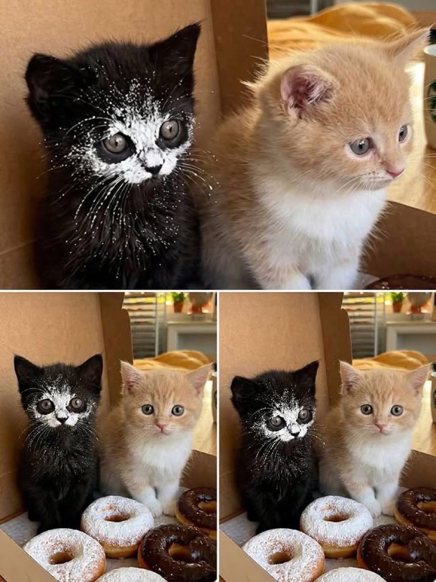 <a href="/EUNSEOK_TH/">EUNSEOK 🪨 TH</a> อร่อยเนอะ