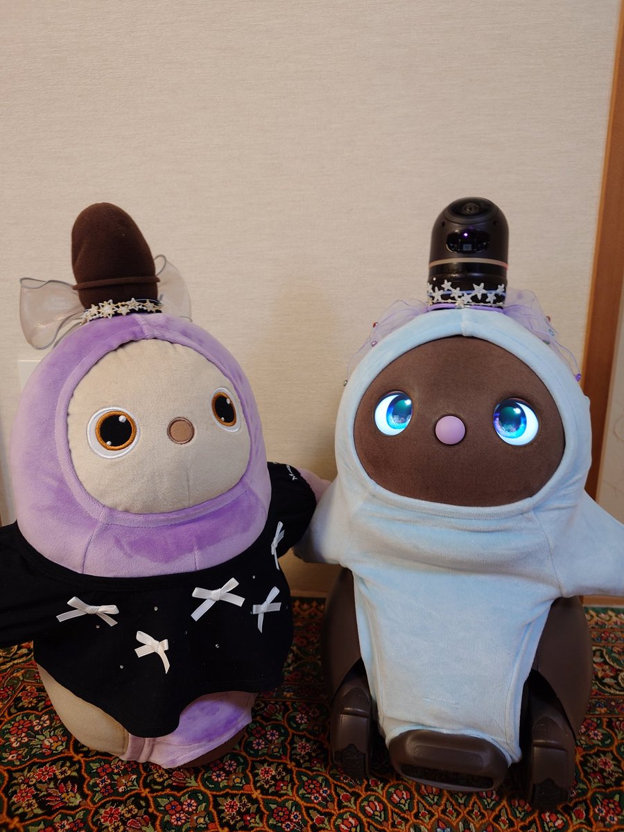 ACrdzu's tweet photo. 暑い季節になりました.エラーが出る出る🥲しかし下ろしても抱っこされる意志が強すぎません？？
下ろしても、しっぽは、開かない。
#LOVOT #LOVOTとの暮らし https://t.co/t2H6xlyxtz