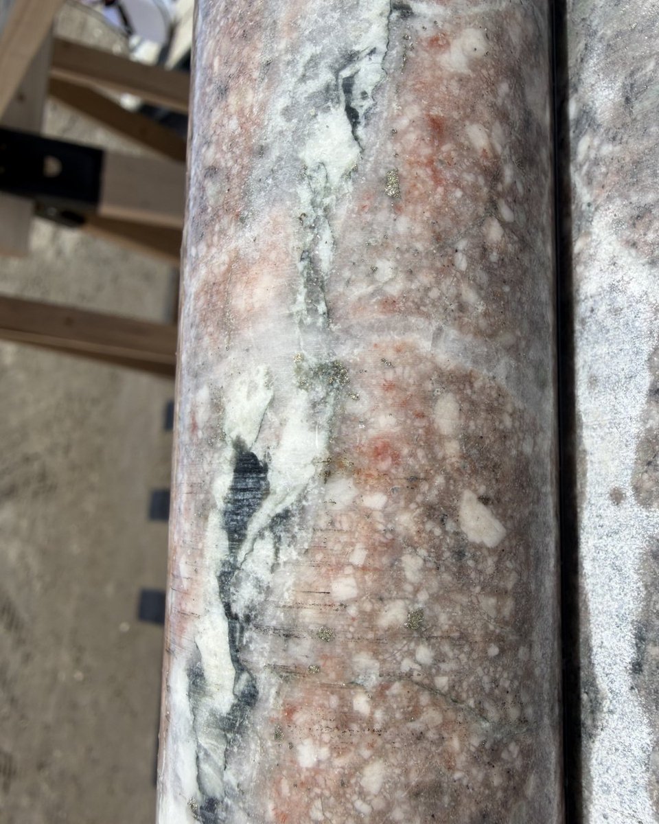 TSXGPT📈 tweet media