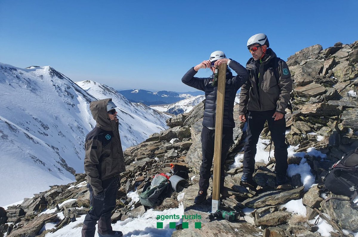 agentsruralscat's tweet photo. 🔎El Grup de Suport de Muntanya #GSMcar i el Grup de Suport Aeri #GSAcar han col·laborat amb el Parc Natural de les Capçaleres del Ter i del Freser @parcscat en la col·locació de gravadores per fer el seguiment de la perdiu blanca, espècie protegida i catalogada com a vulnerable. https://t.co/HaNTvyFpwv