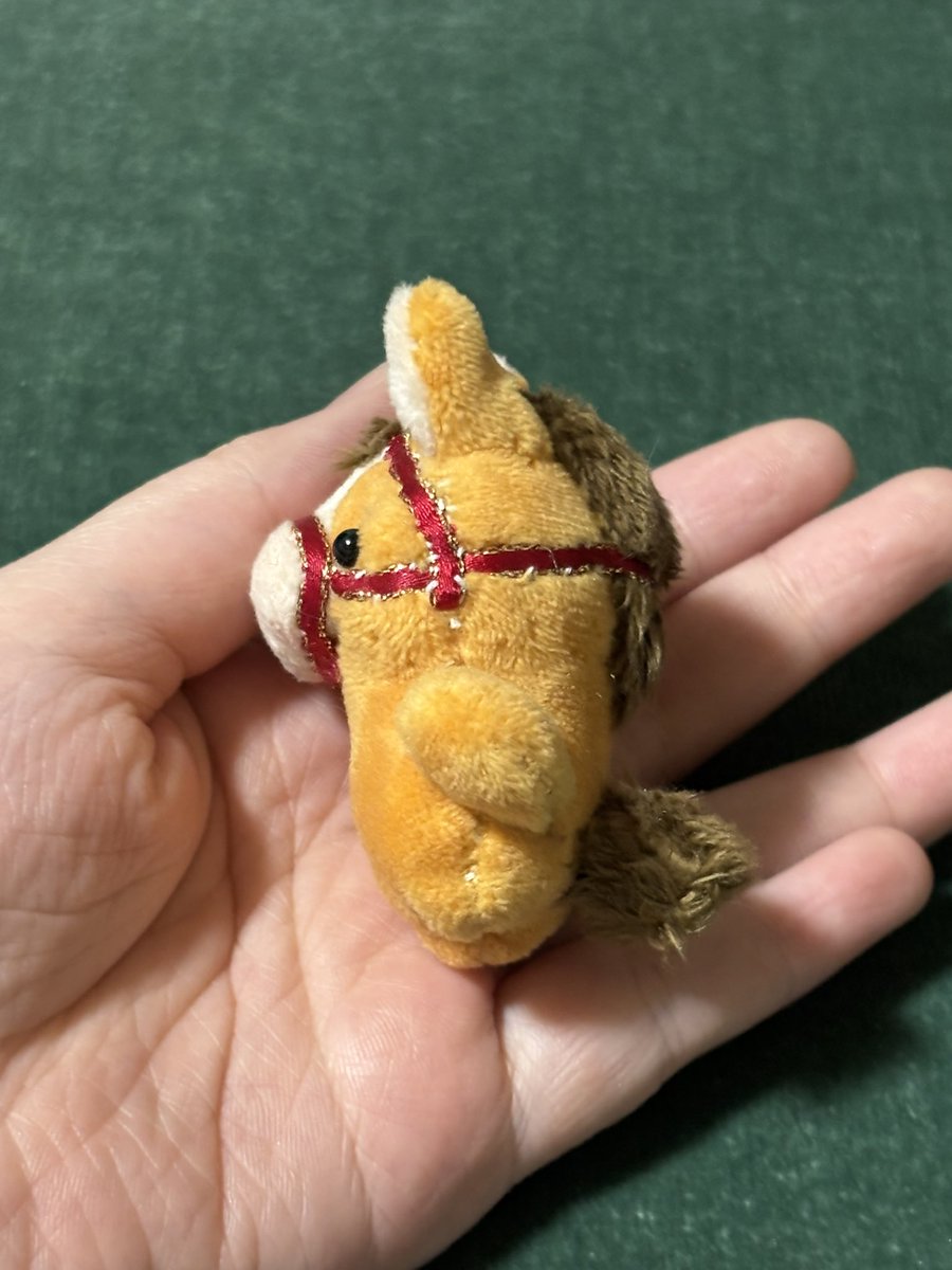 ぽこぷ tweet media