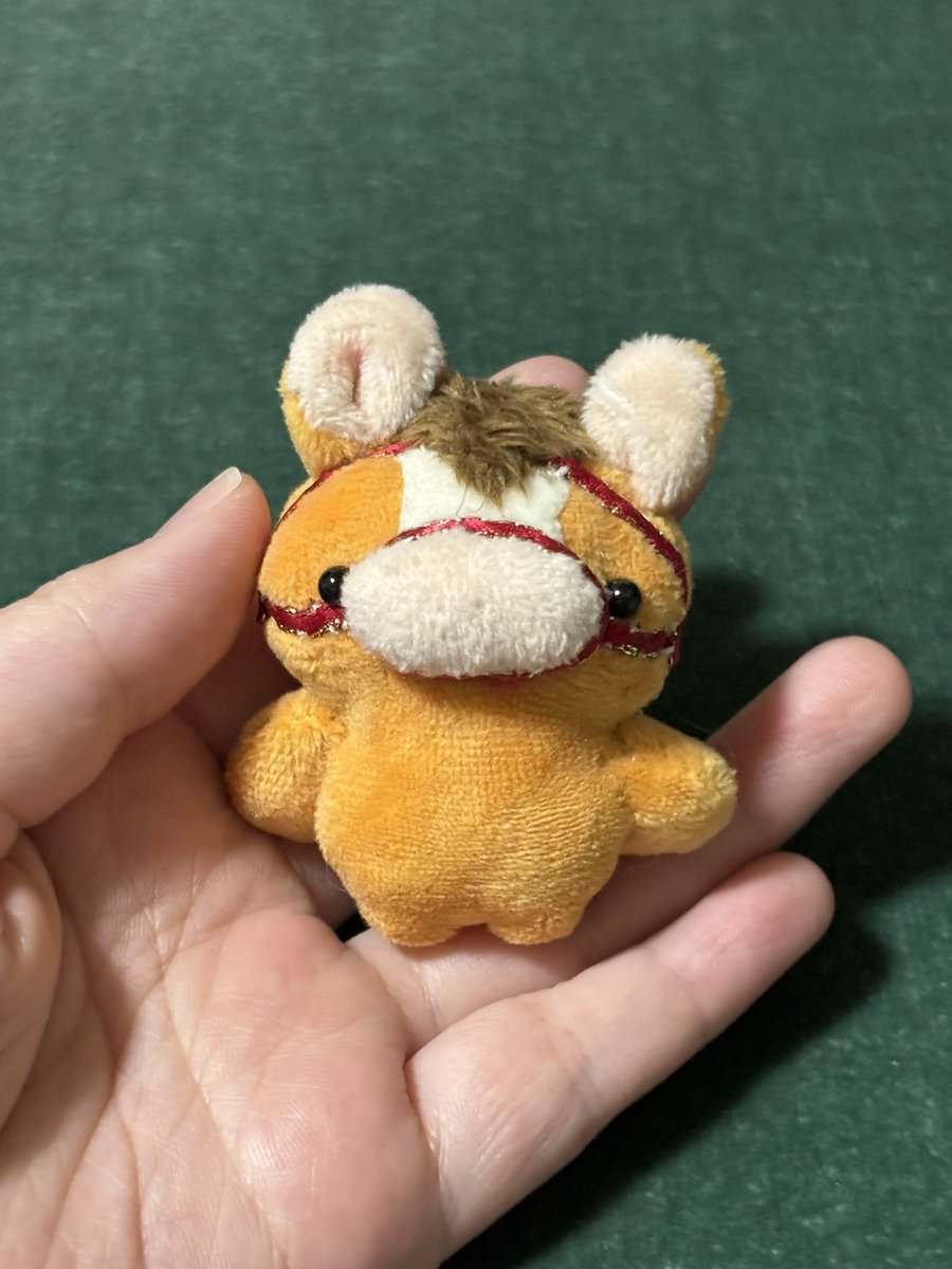 ぽこぷ tweet media