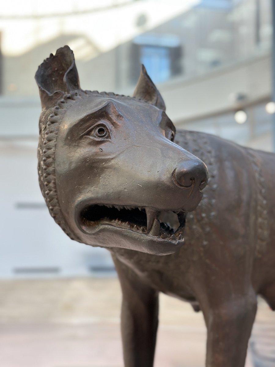 javiergwilliams's tweet photo. Capitoline Wolf in the #capitolinemuseums in @Rome. 753 BC, April 21. The traditional founding of Rome https://t.co/K2oeKcilVX