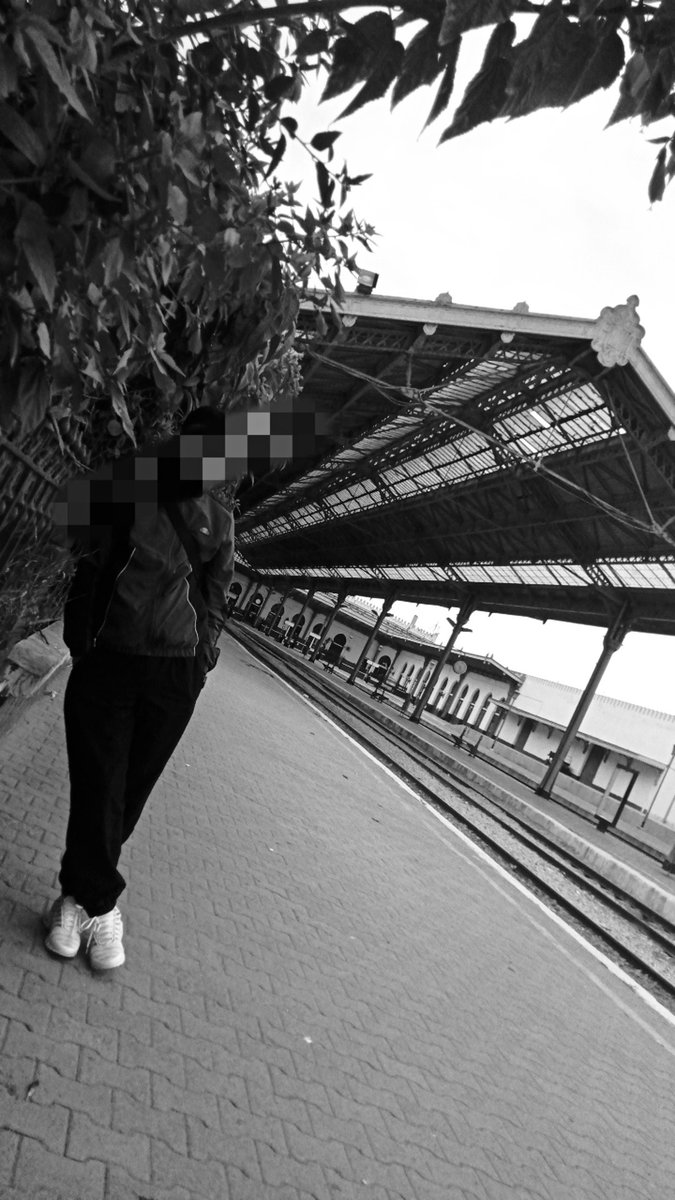 Wari 🗯️ tweet media