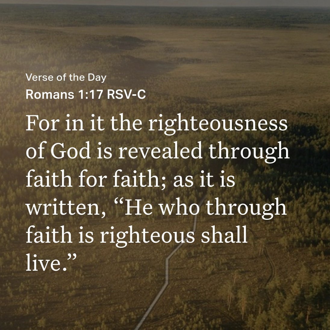 DewQuack ✝️🦆 tweet media