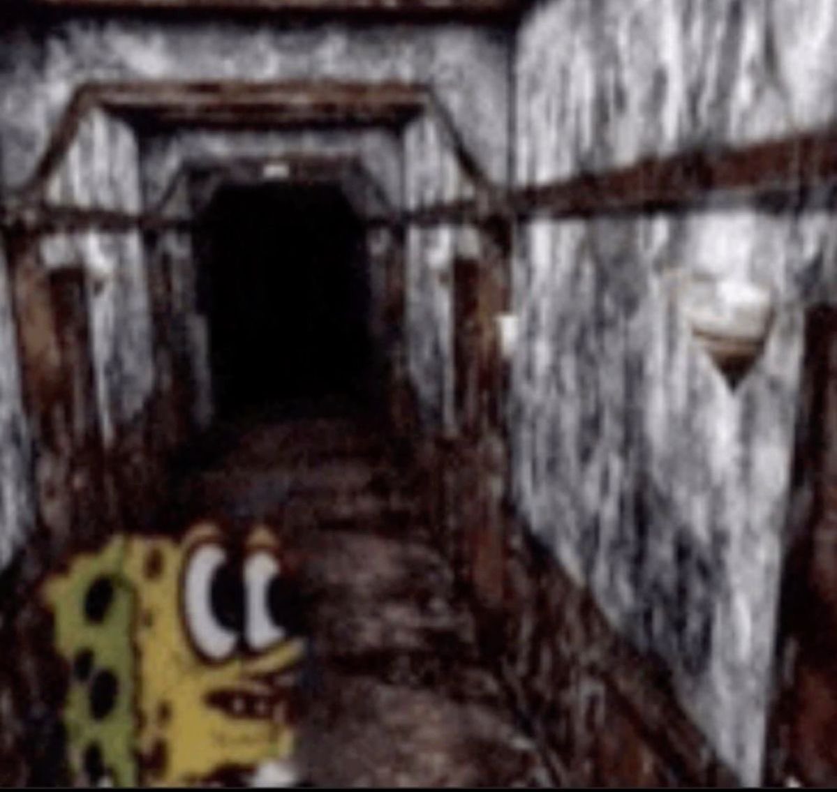 mila³.⋆♱🇦🇷 tweet media