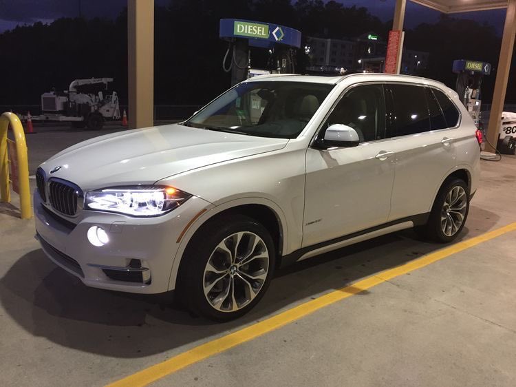 GallusWen tweet media