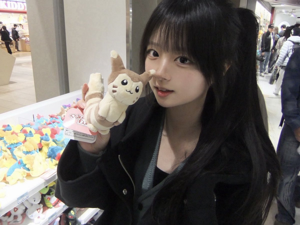 깡총 tweet media