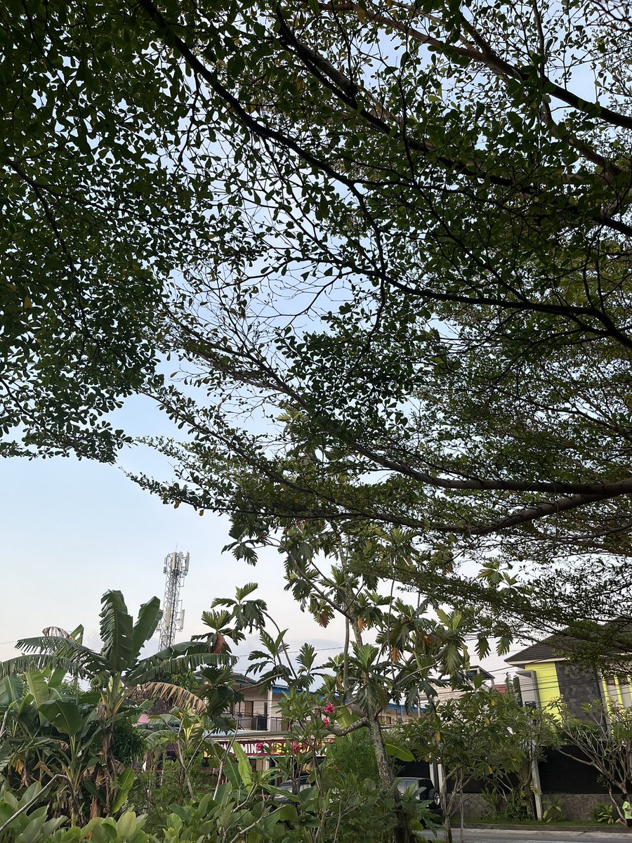 herebypet's tweet photo. Kayaknya tahun lalu masih bisa ngrasa happy deh, at least https://t.co/MB04w9hGn6