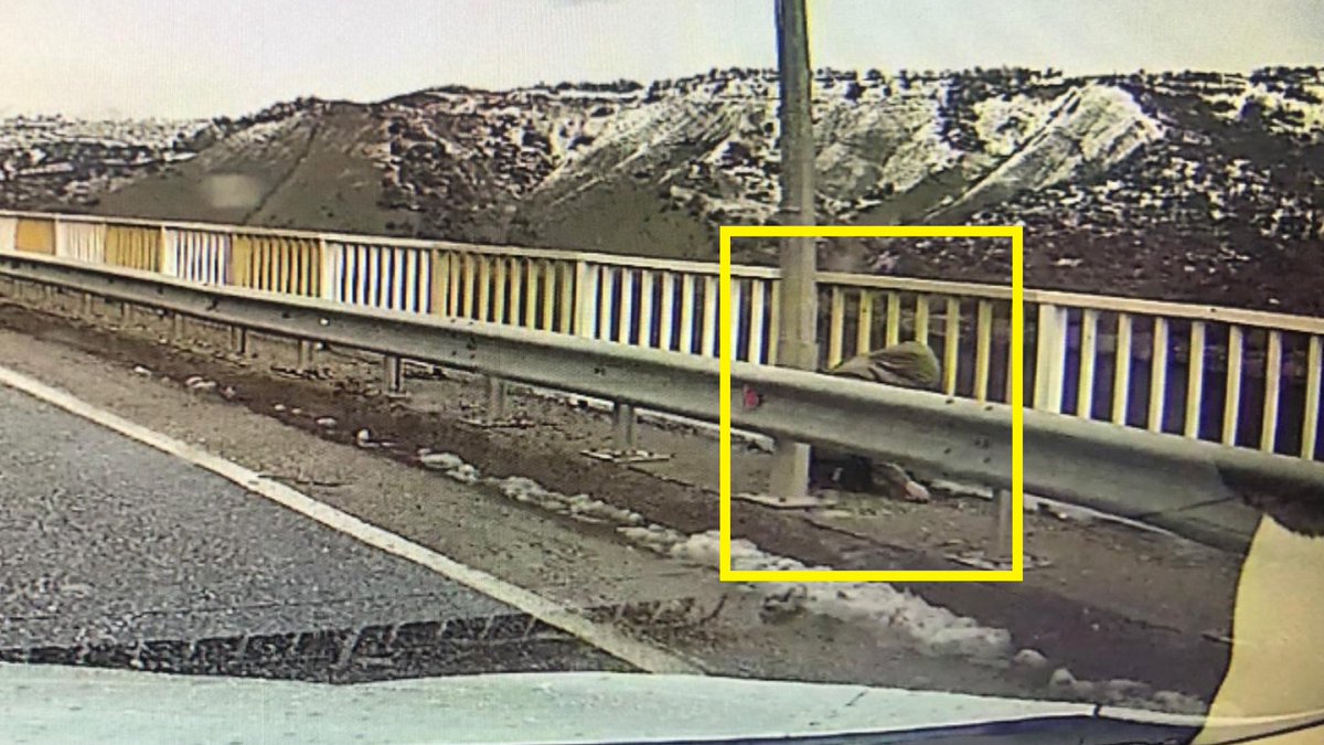 UeDemircan's tweet photo. Aylarca  bu fotoğraftaki kişinin Gülistan Doku olduğuna inandık. 

Atladığını düşündük, Ya da böyle düşünmemiz istendi. 

Peki o videodaki Gülistan değilse!  Hepsi kusursuz işlediği düşünülen bir organizasyonun bir parçasıysa! 

#ogülistandeğil #gülistandoku #nerede #sondakika 

@Dokuailesi @av_cmn @abakingurlek @Tuncelijandarma @TunceliEmniyet @TunceliValiligi