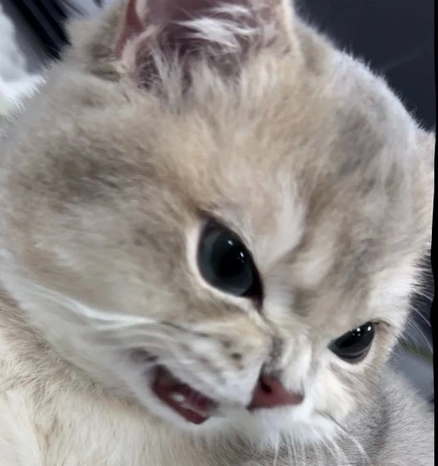 hellobublee🏄🏻‍♀️ * ͙͘͡★ 🫧 tweet media